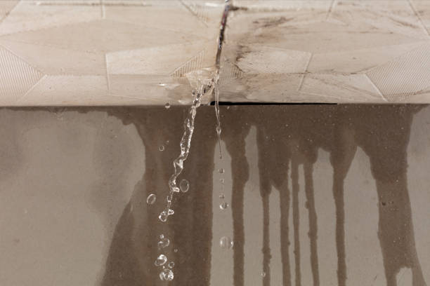 Professional Structural Drying technician working in Newton, MA